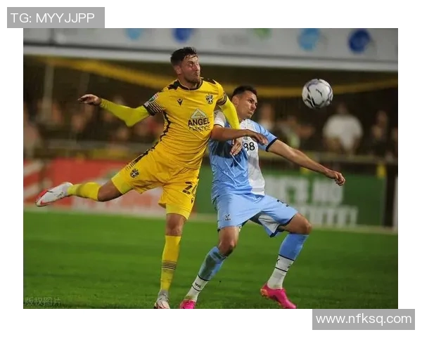 吉林汉姆对桑德兰精彩比赛视频回顾与分析全场亮点尽在其中